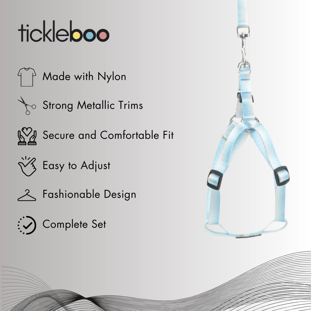 Frosty Tide Harness & Leash Set (For Small Dogs)