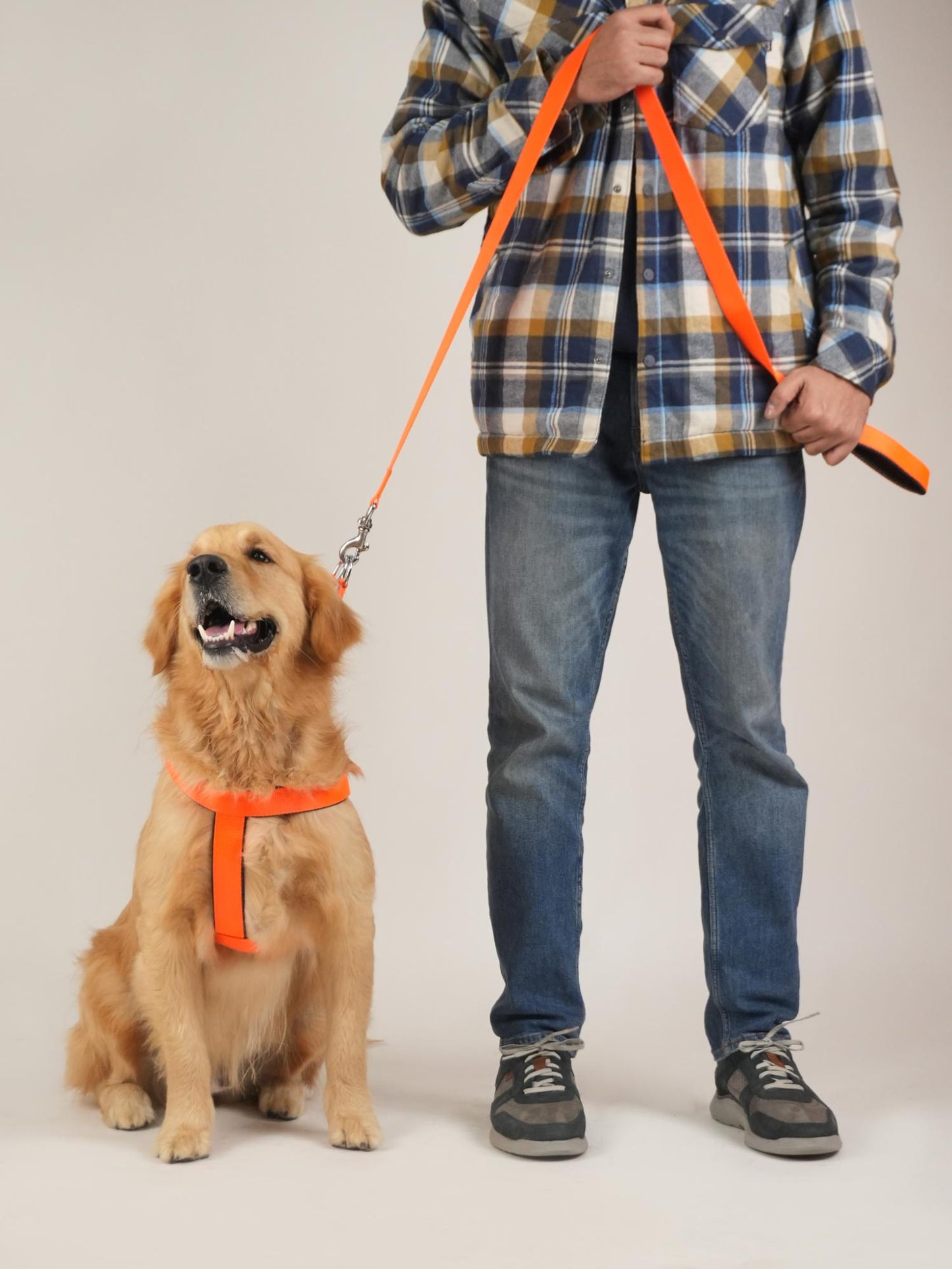 Sunburst Harness & Leash Set (For Large Dogs)