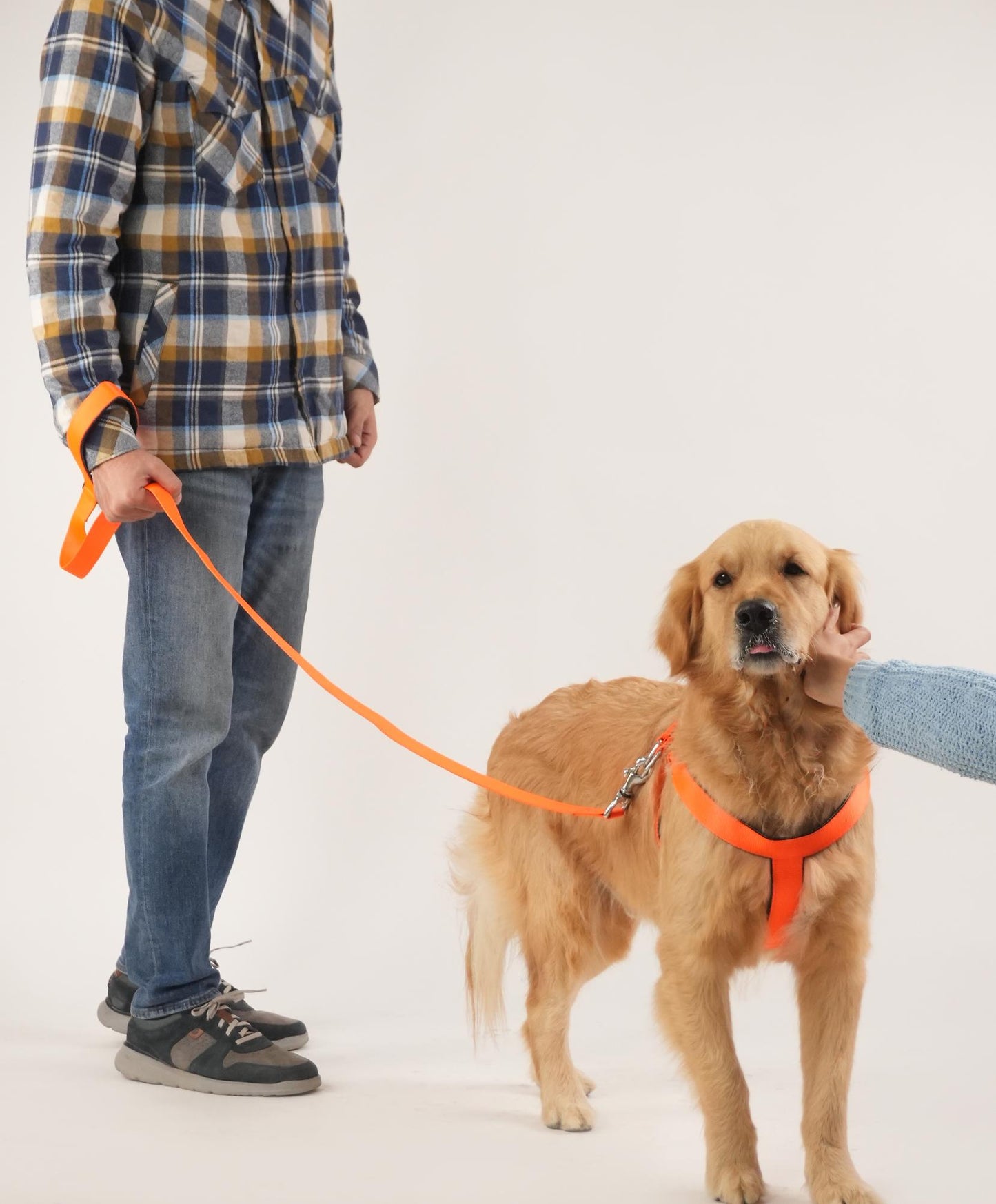 Sunburst Harness & Leash Set (For Large Dogs)