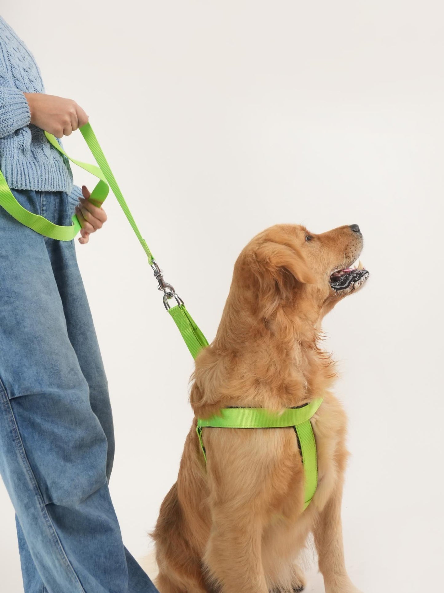 Neon Nimbus Harness & Leash Set (For Large Dogs)