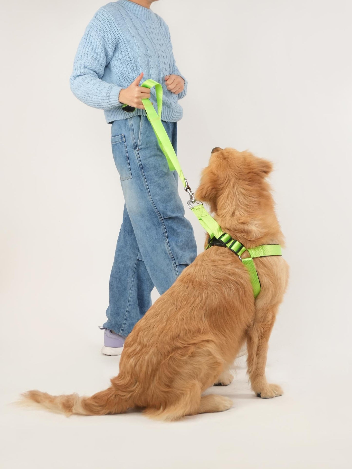 Neon Nimbus Harness & Leash Set (For Large Dogs)