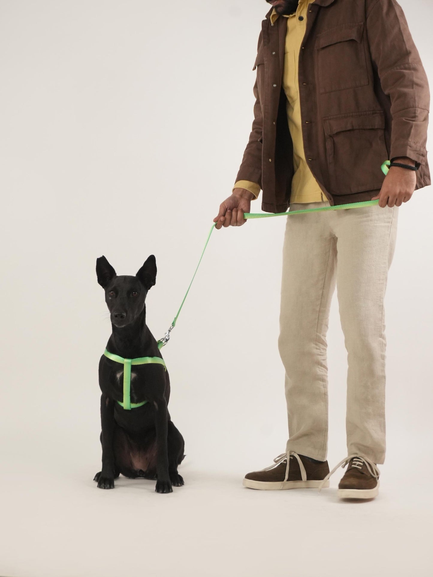 Citrus Sprout Harness & Leash Set (For Medium Dogs)