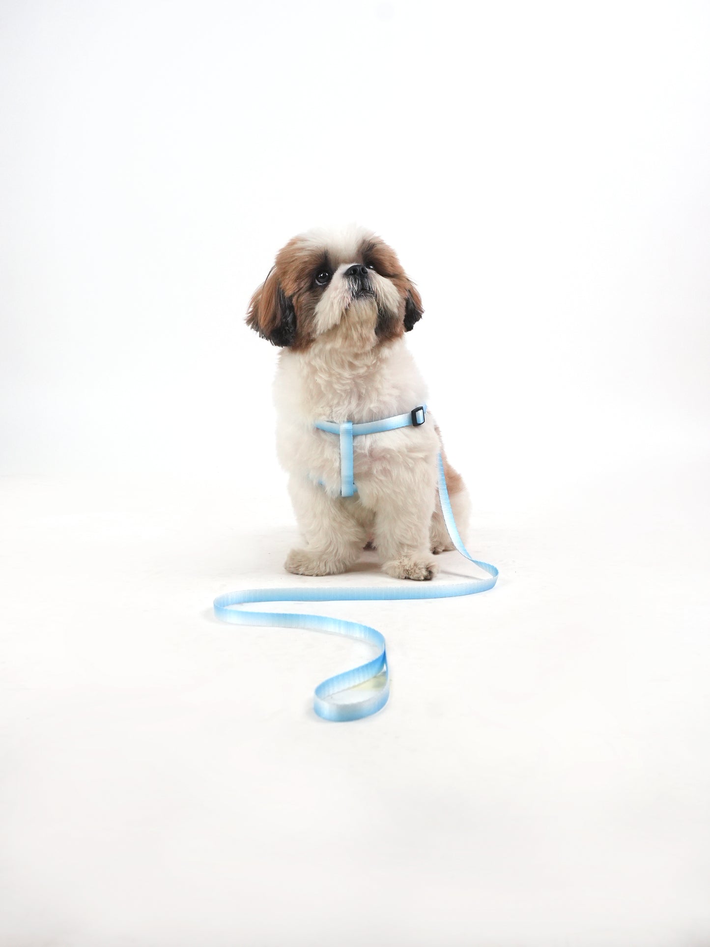 Frosty Tide Harness & Leash Set (For Small Dogs)