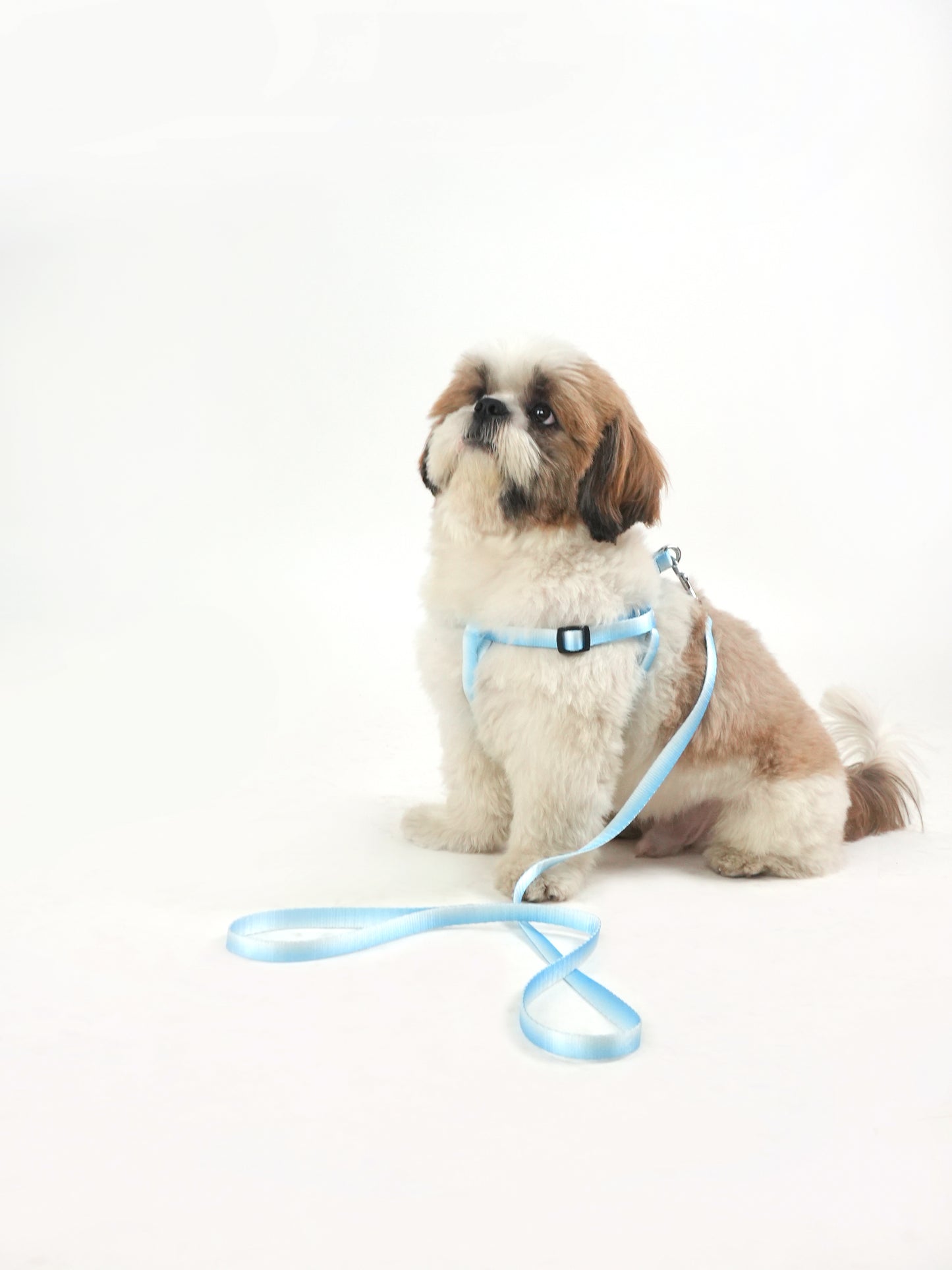 Frosty Tide Harness & Leash Set (For Small Dogs)