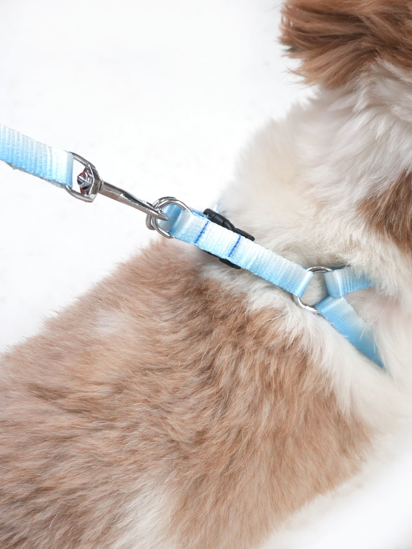 Frosty Tide Harness & Leash Set (For Small Dogs)