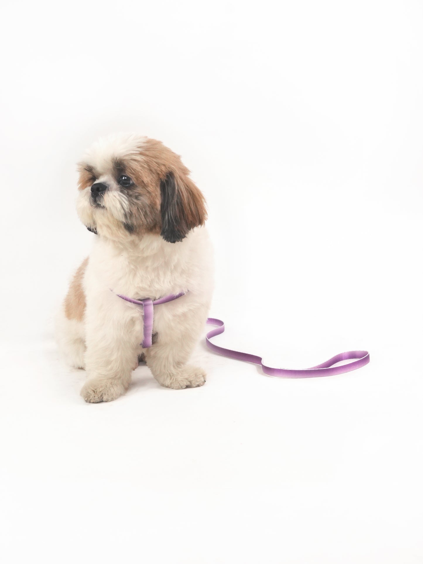 Lavender Lift Harness & Leash Set (For Small Dogs)