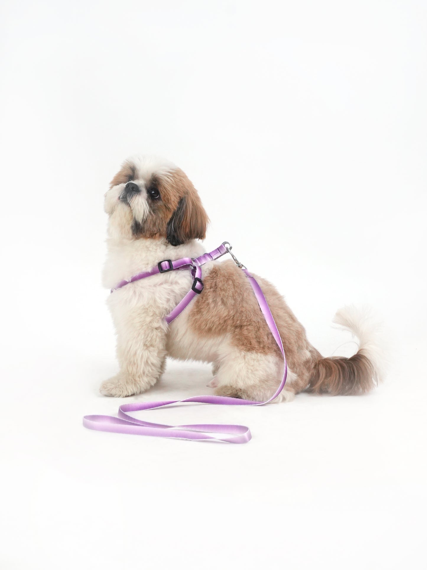 Lavender Lift Harness & Leash Set (For Small Dogs)