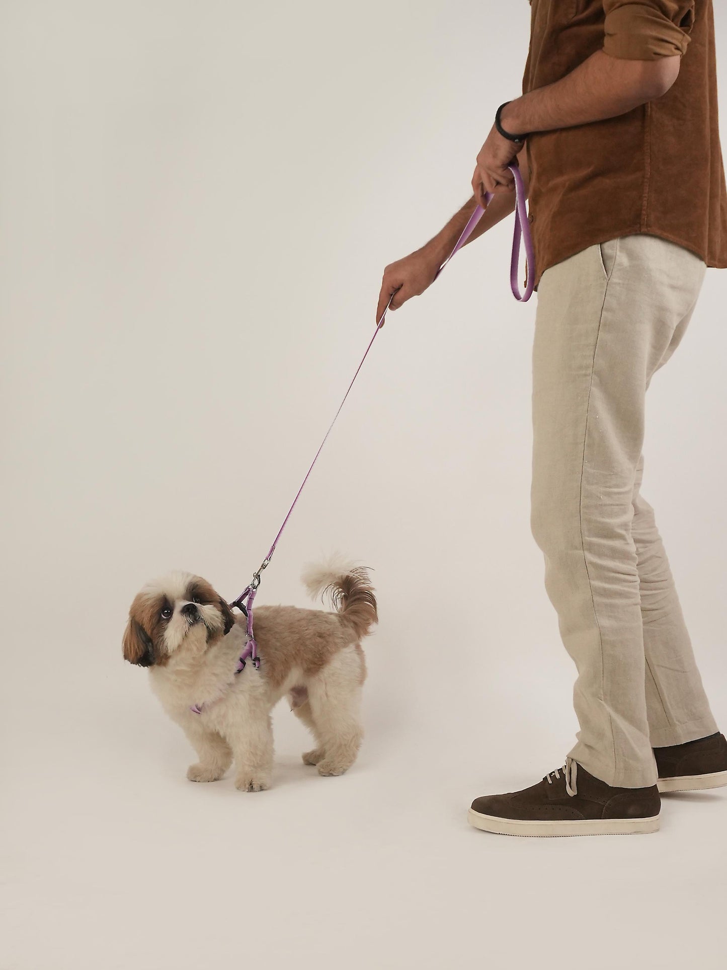 Lavender Lift Harness & Leash Set (For Small Dogs)