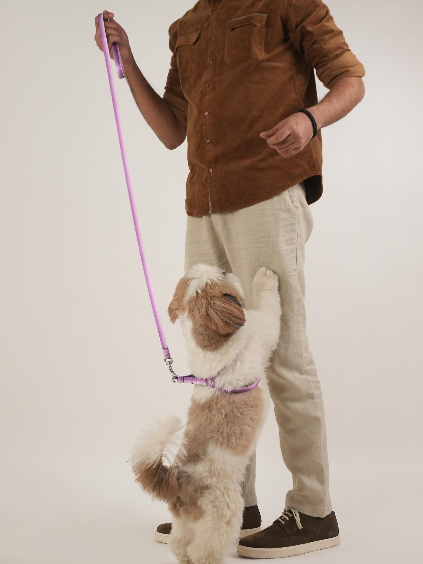 Lavender Lift Harness & Leash Set (For Small Dogs)