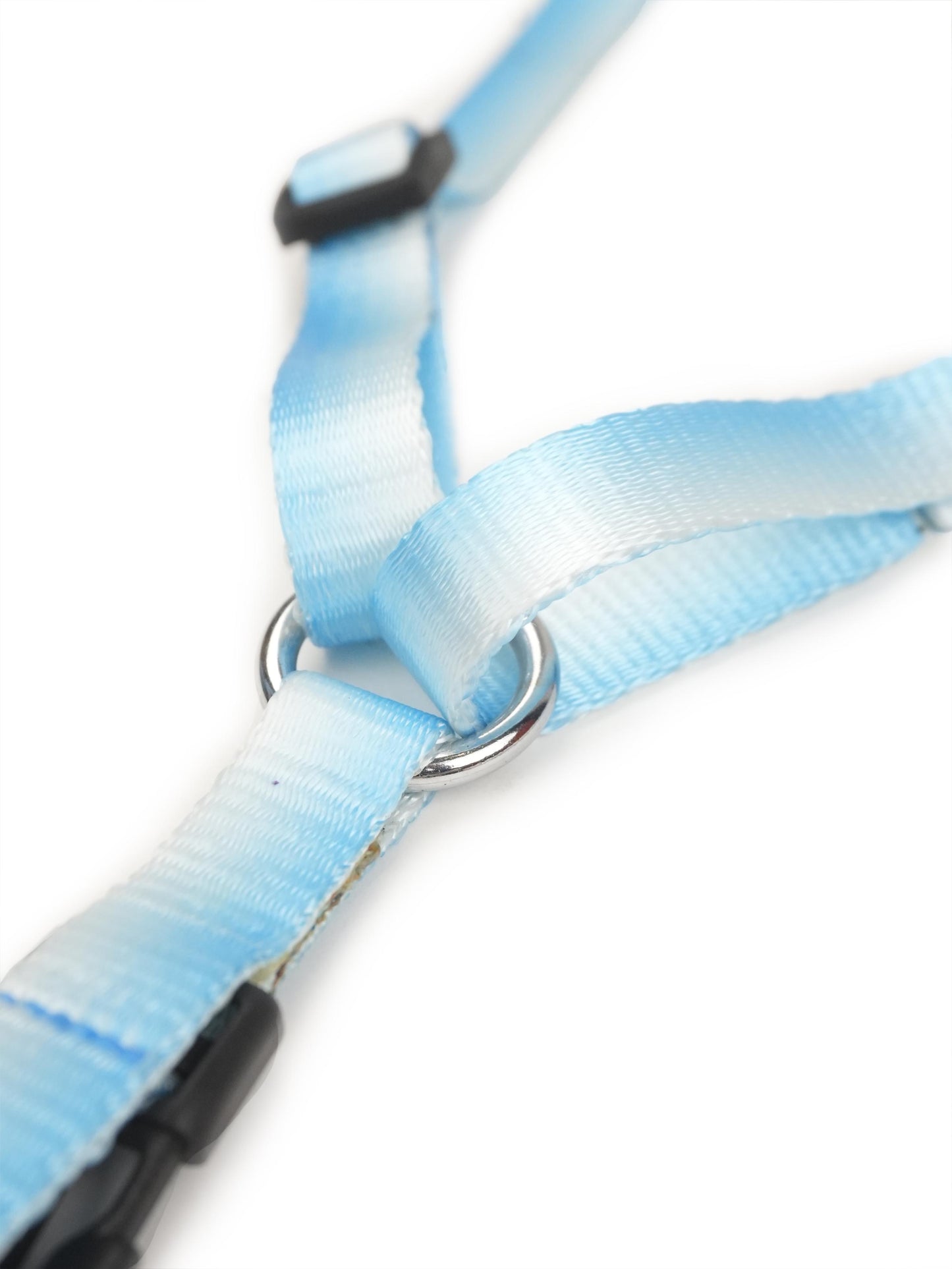 Frosty Tide Harness & Leash Set (For Small Dogs)