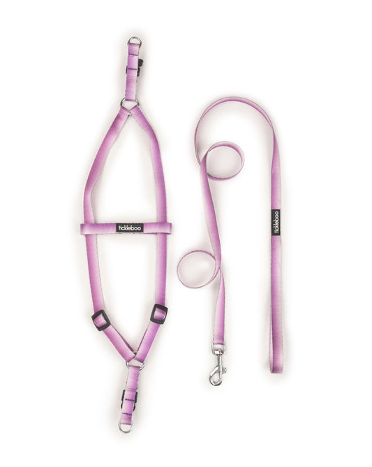 Lavender Lift Harness & Leash Set (For Small Dogs)
