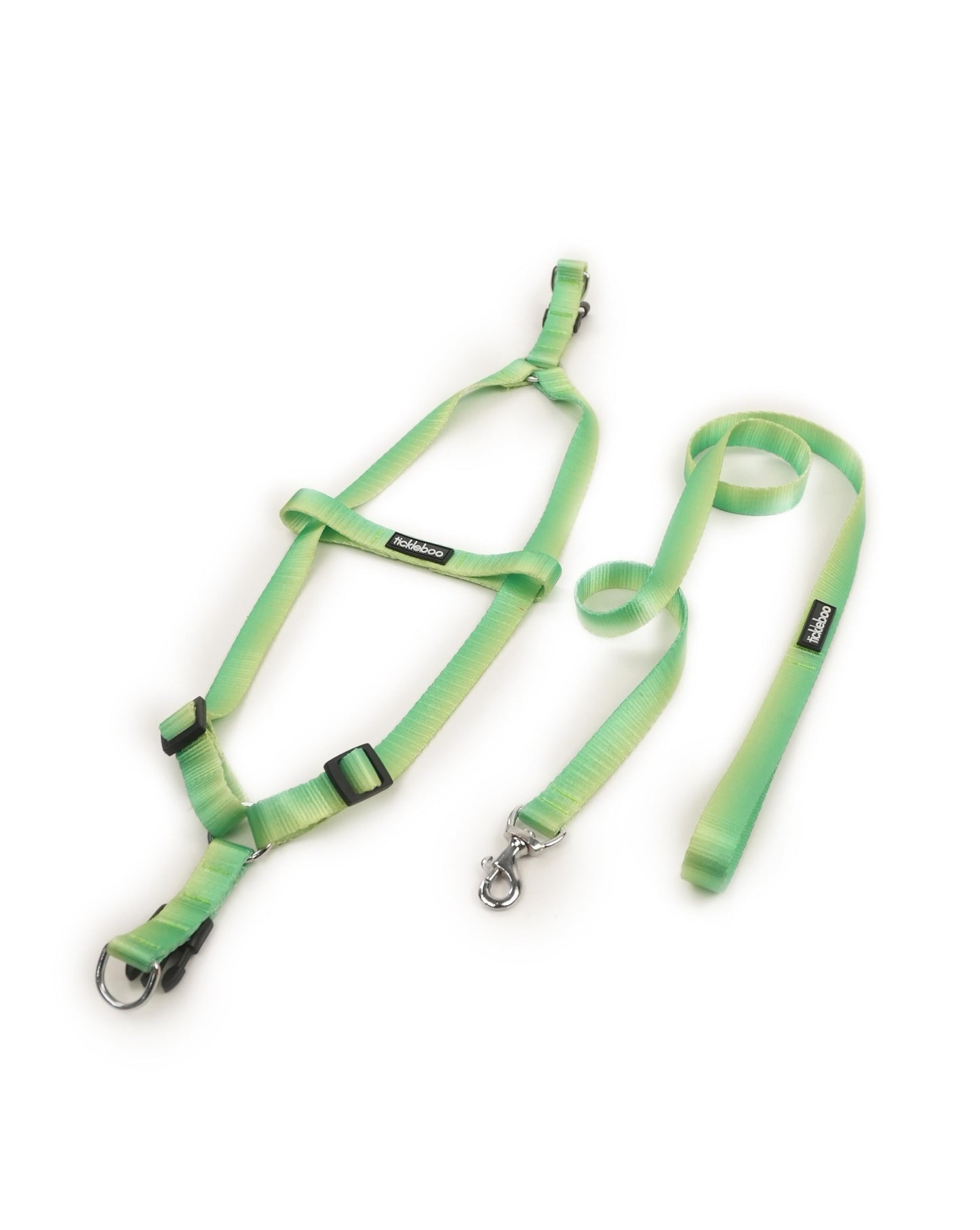 Citrus Sprout Harness & Leash Set (For Medium Dogs)