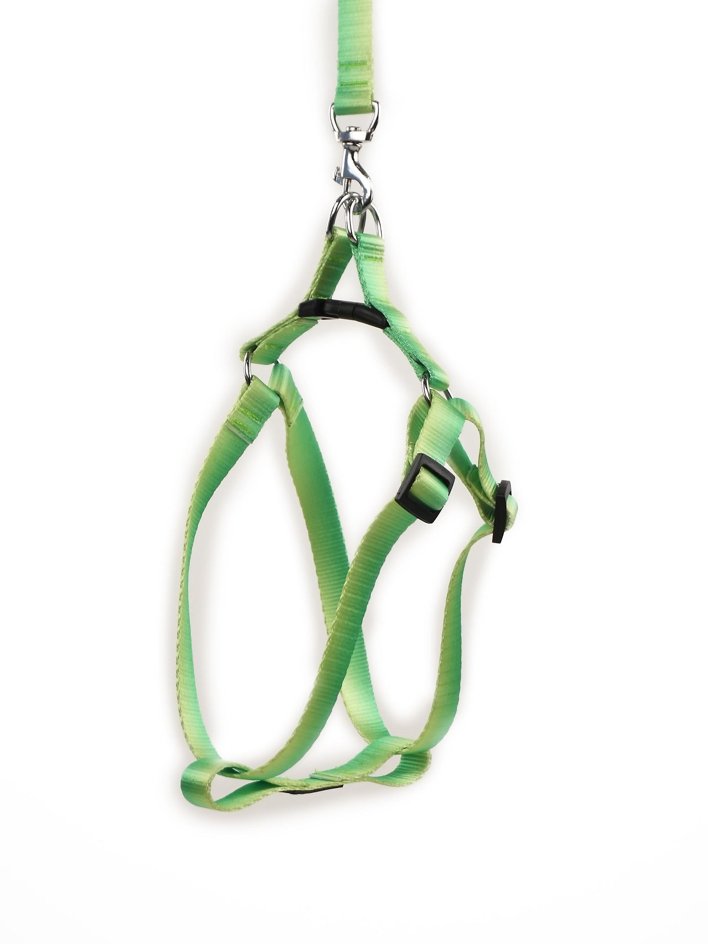 Citrus Sprout Harness & Leash Set (For Medium Dogs)