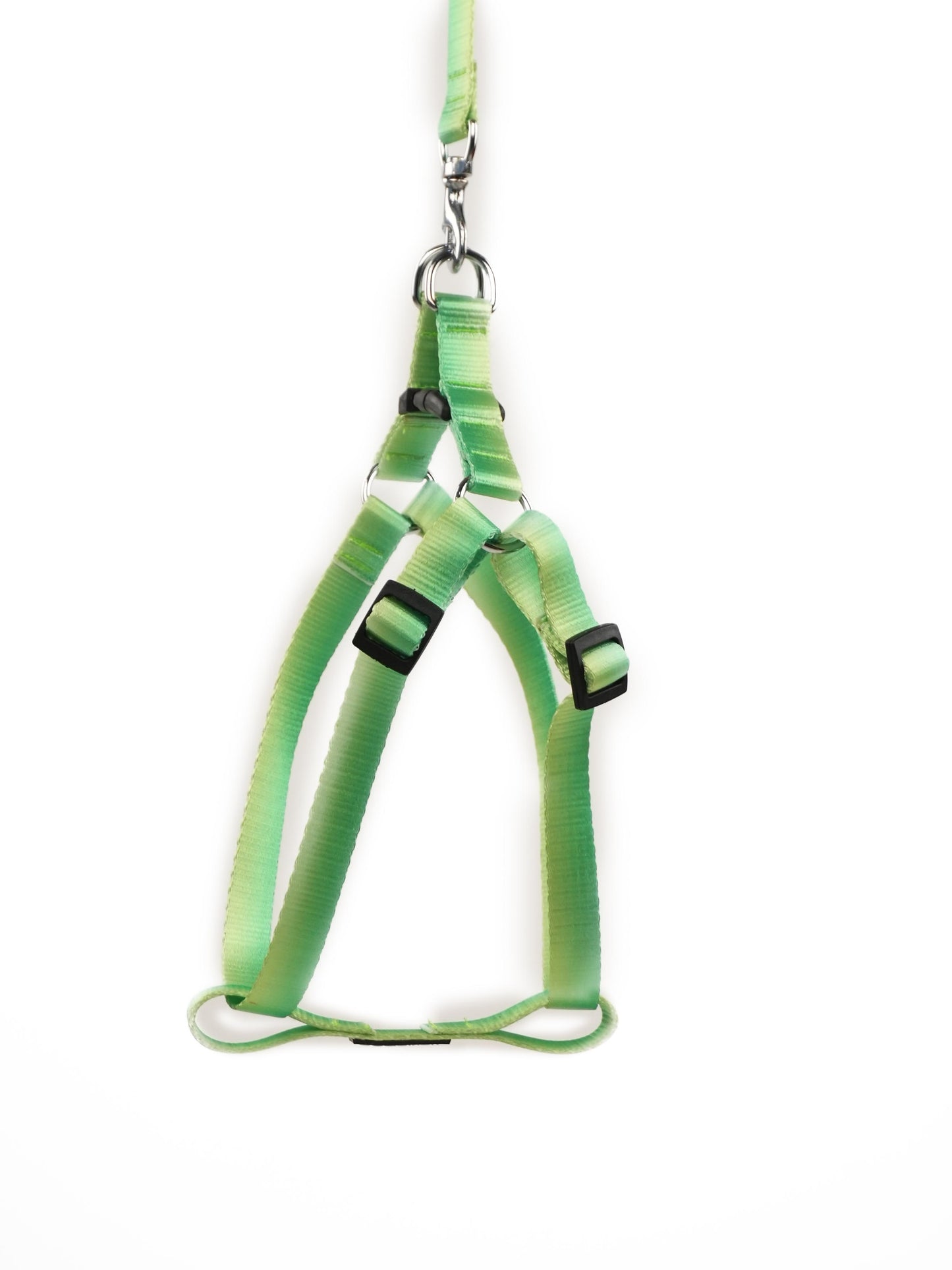 Citrus Sprout Harness & Leash Set (For Medium Dogs)