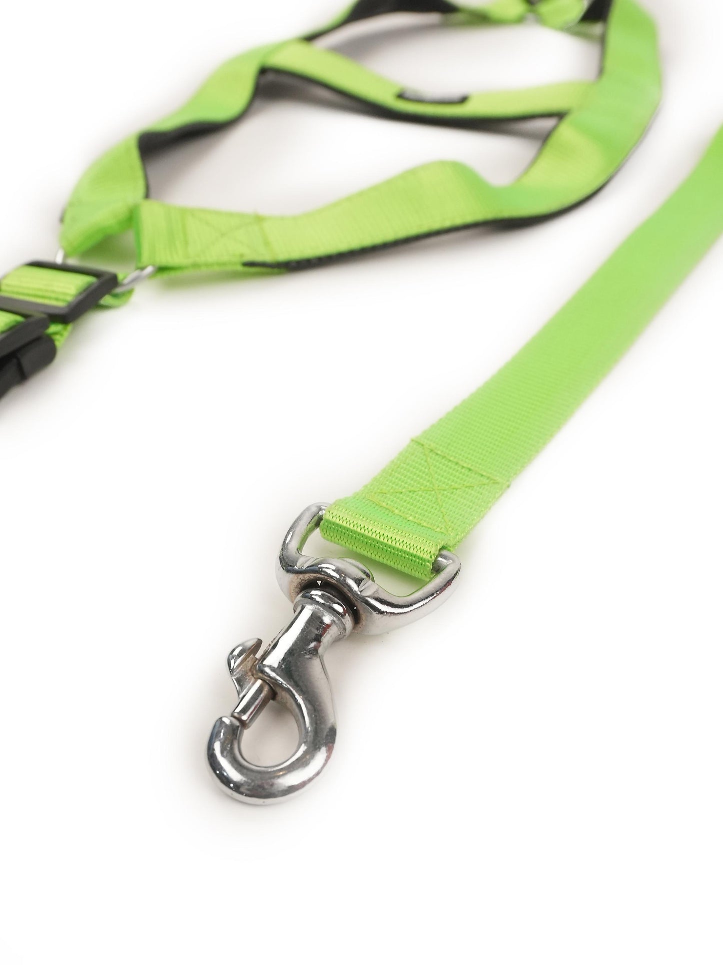 Neon Nimbus Harness & Leash Set (For Large Dogs)