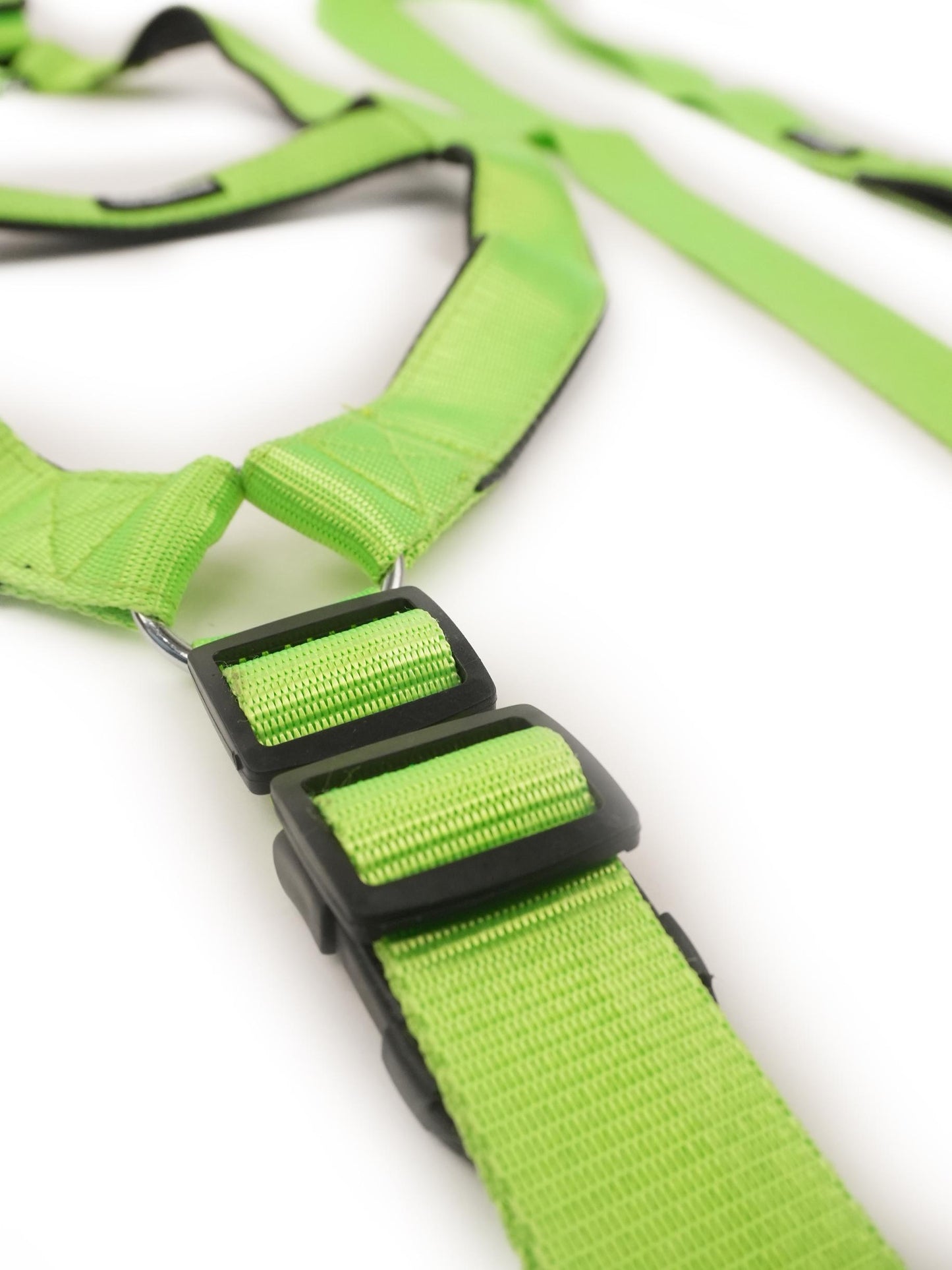 Neon Nimbus Harness & Leash Set (For Large Dogs)