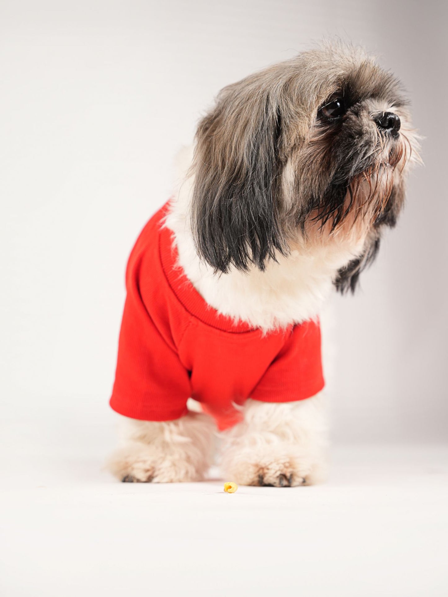 Red T-Shirt