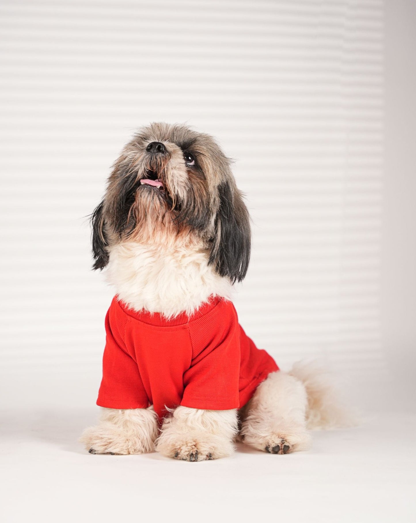 Red T-Shirt