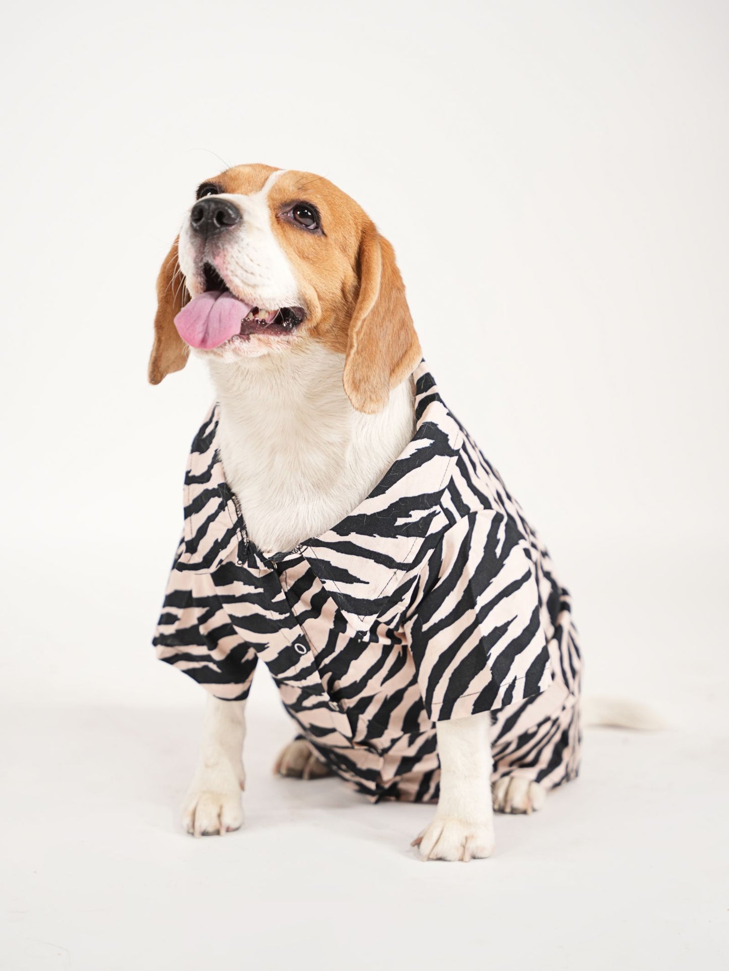 Zebra Print Shirt