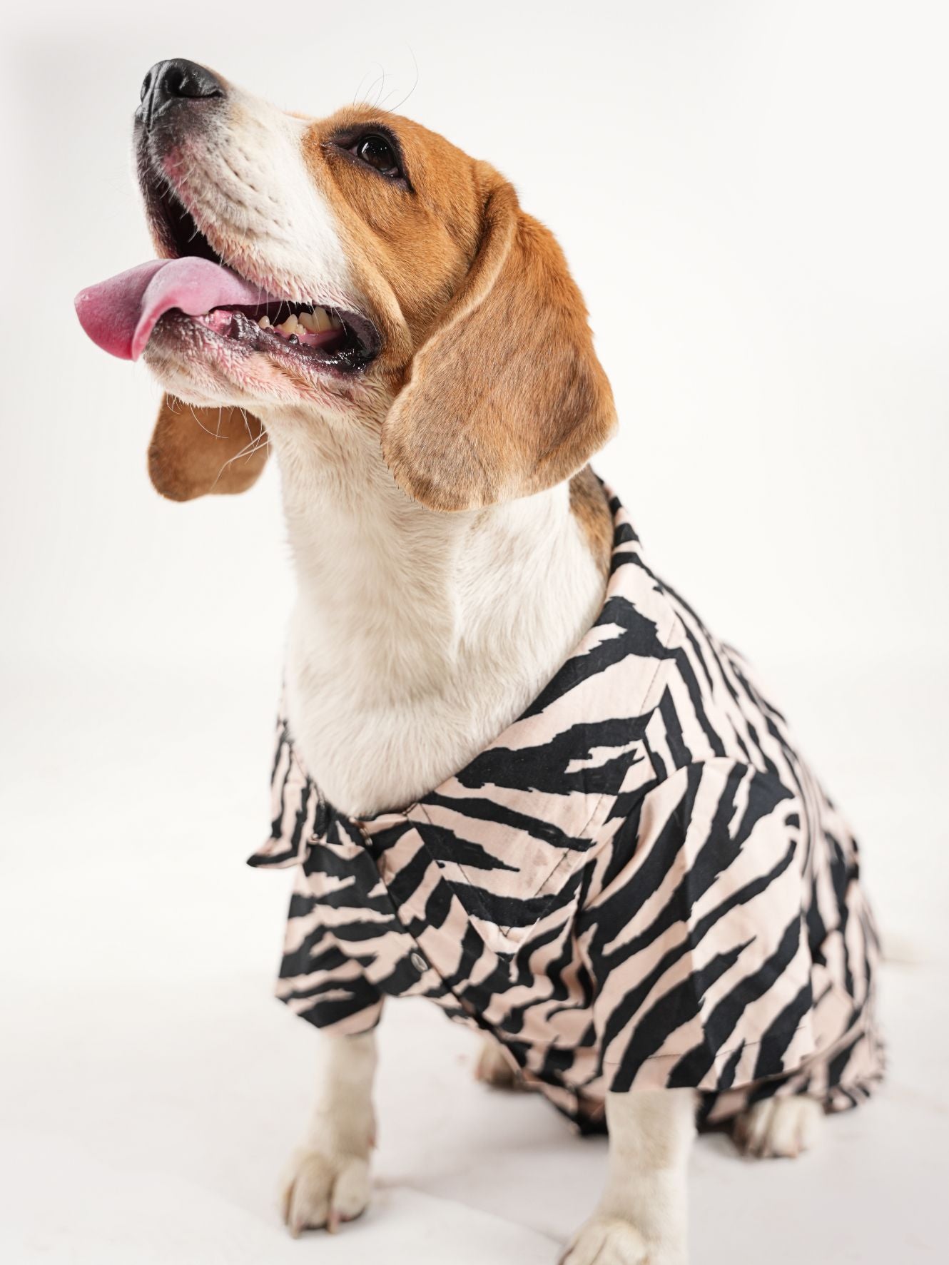 Zebra Print Shirt