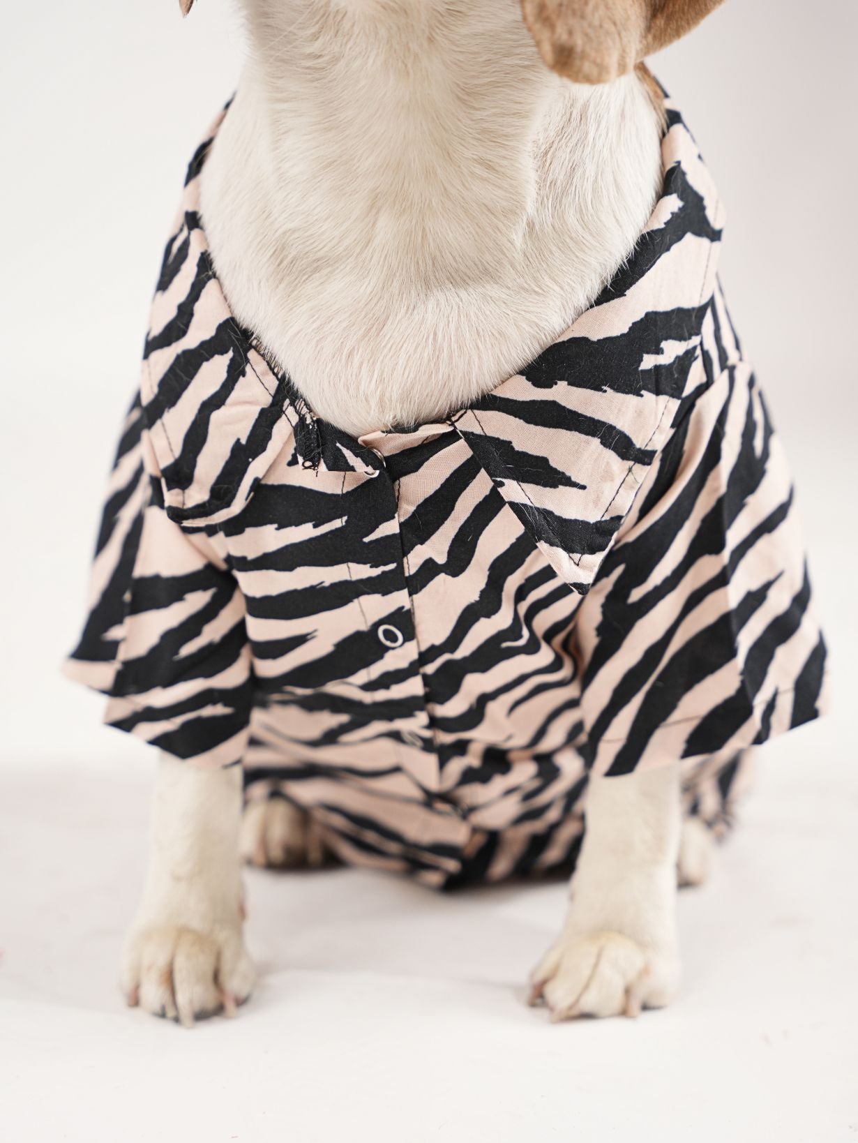 Zebra Print Shirt