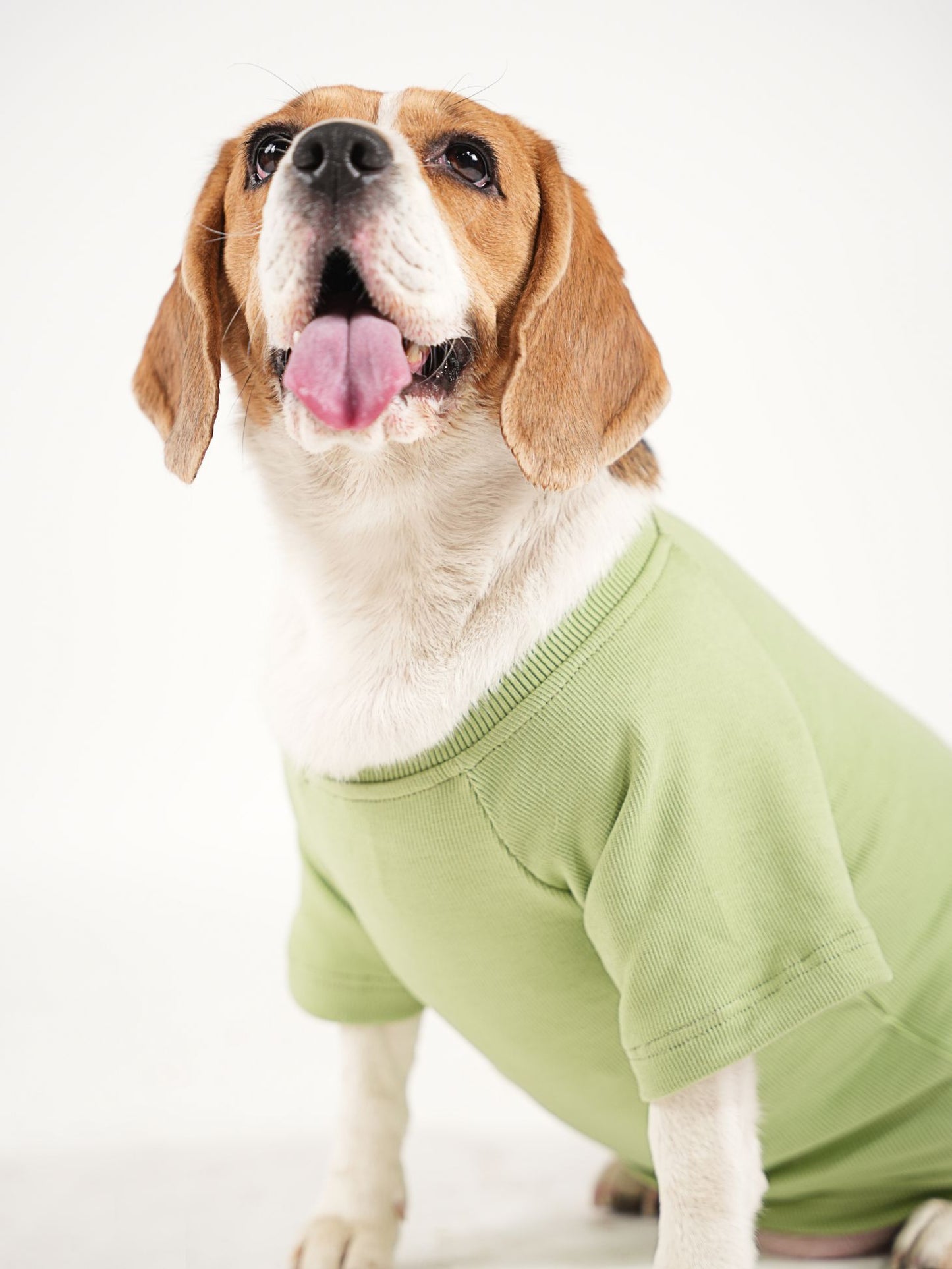 Green Ribbed T-Shirt