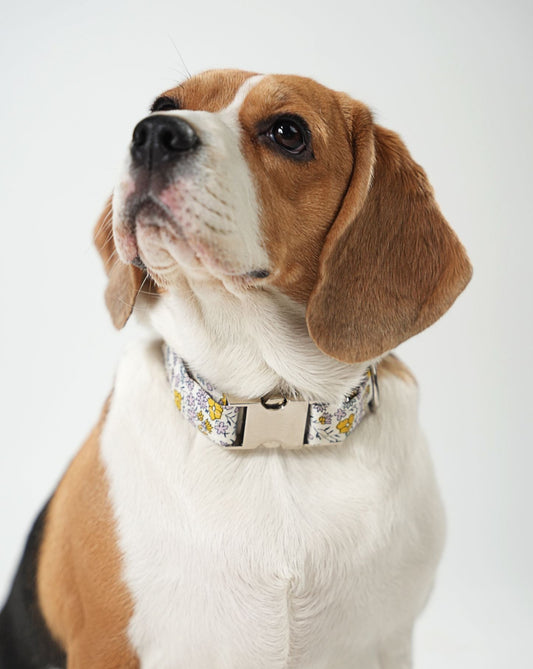 White Floral Print Collar