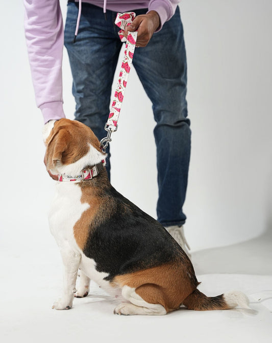 Watermelon Print Leash