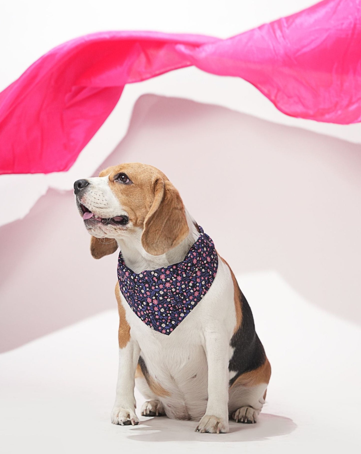 Black Floral Print Bandana