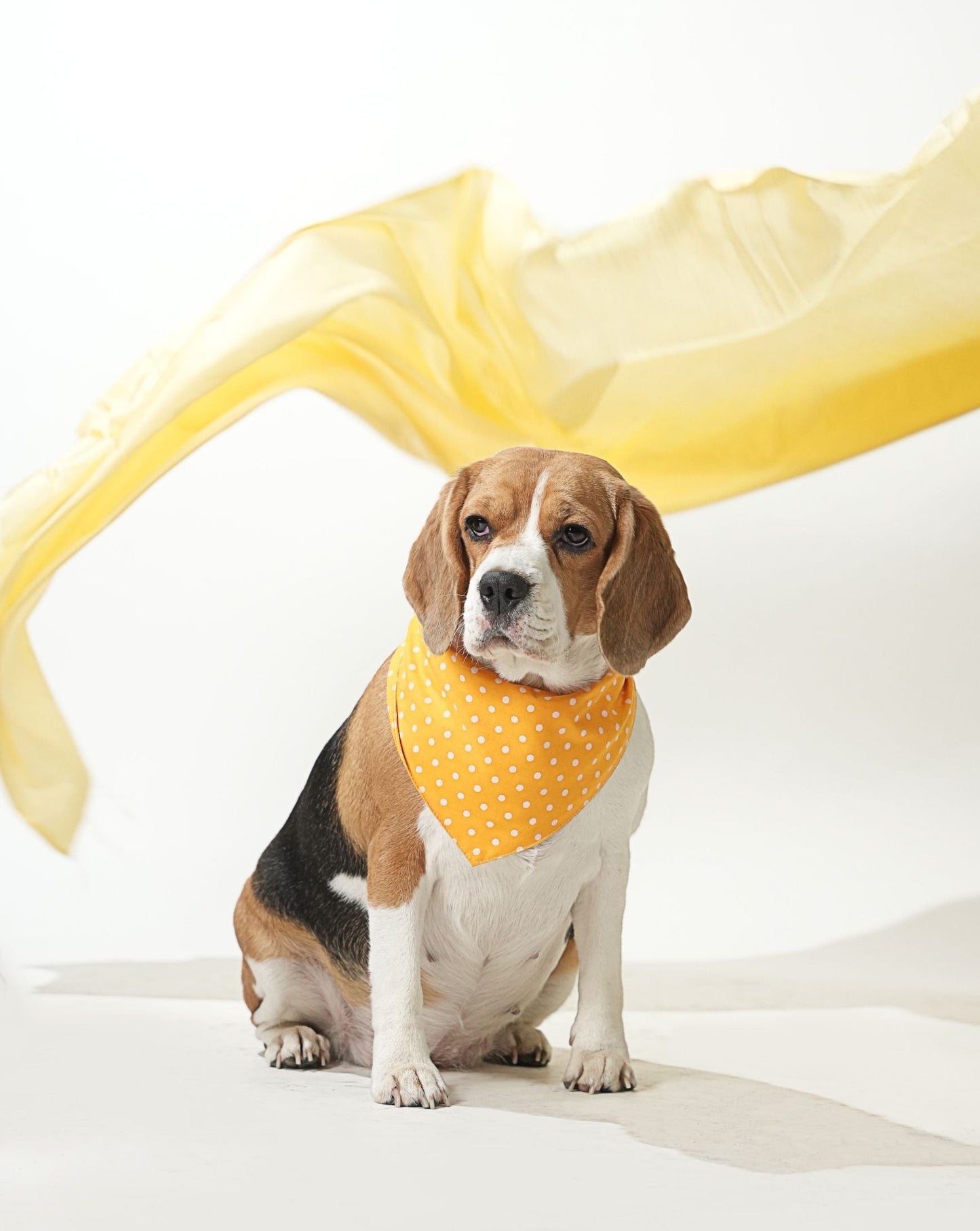 Yellow Polka Dot Print Bandana