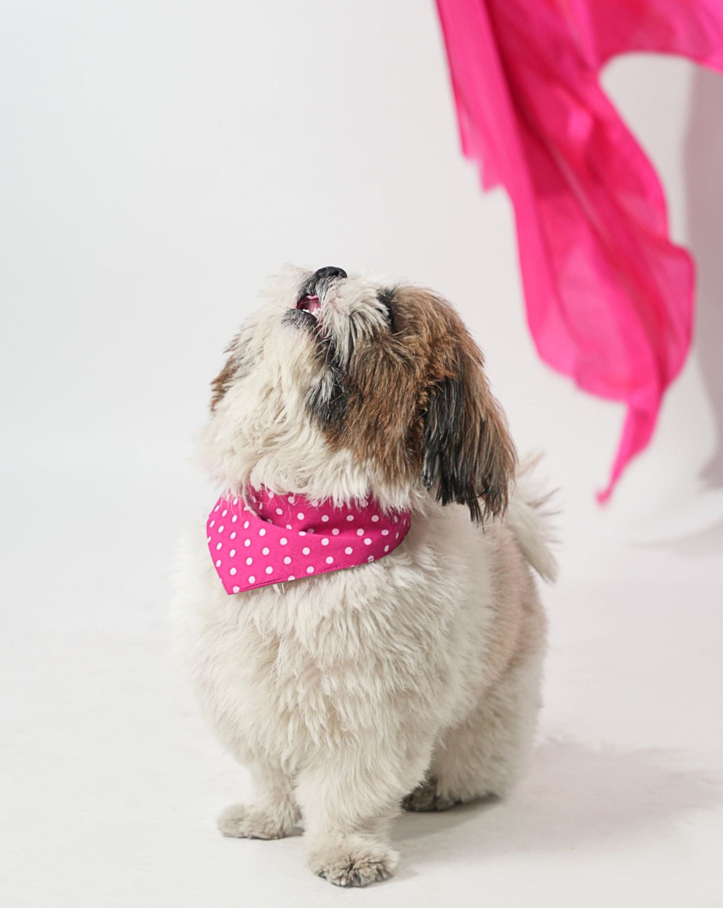 Pink Polka Dot Print Bandana