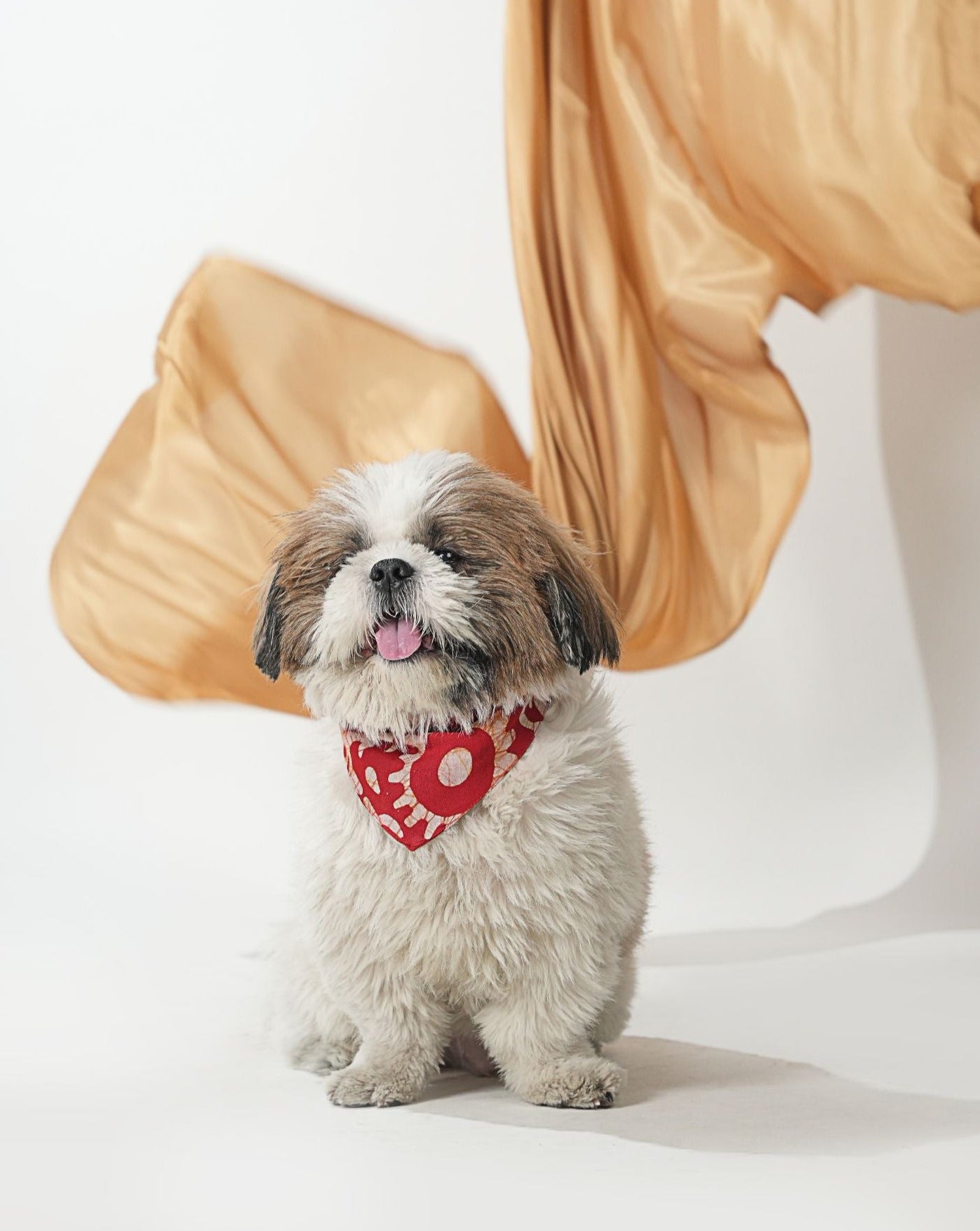 Red Batik Print Bandana