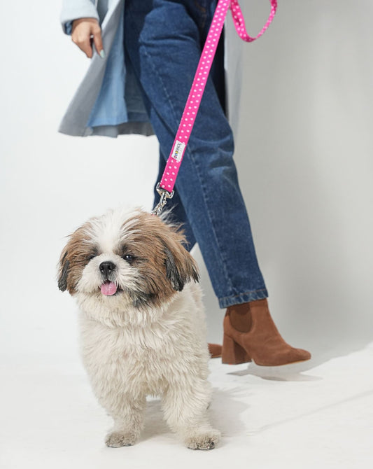 Pink Polka Dot Print Leash