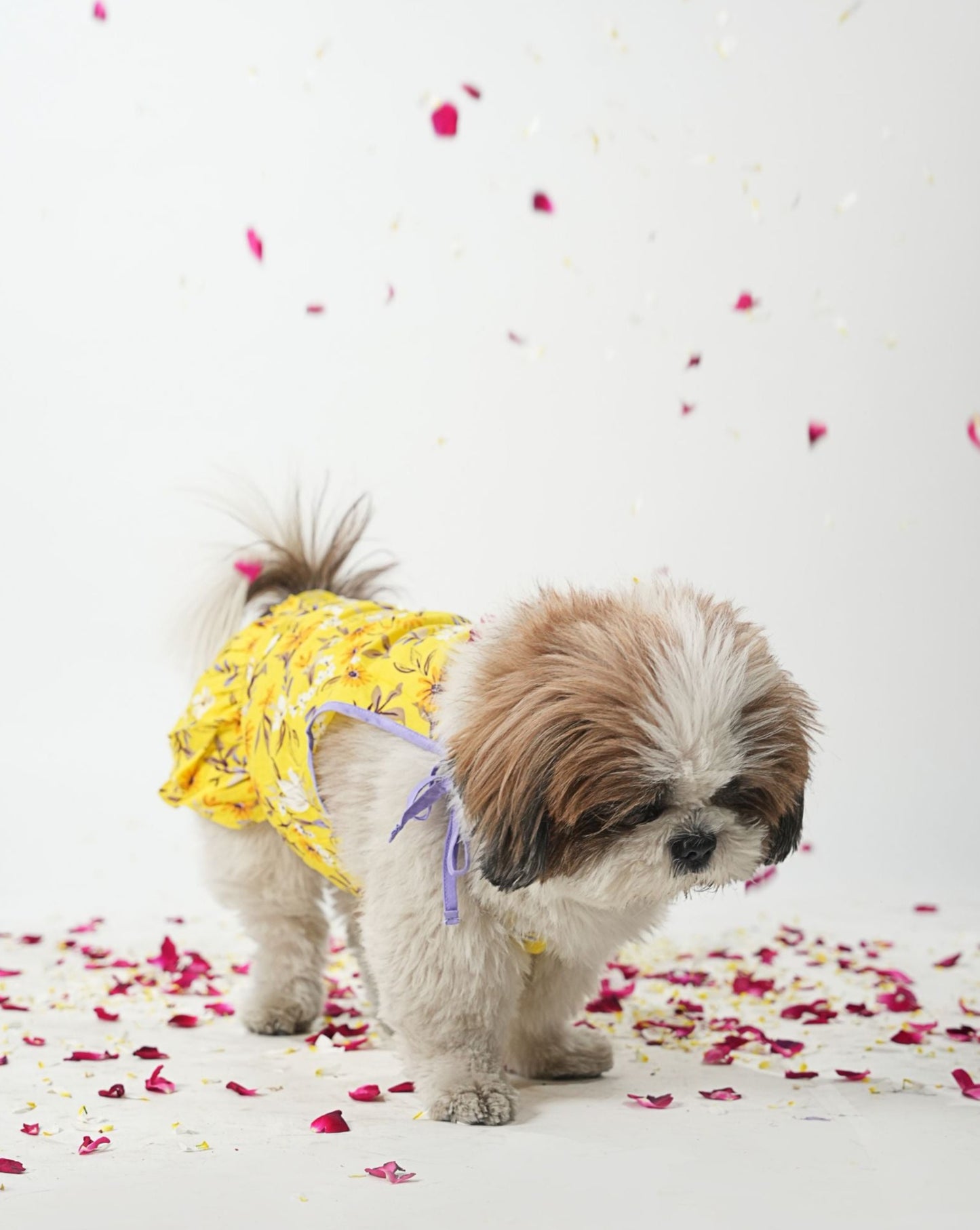 Yellow Floral Dress