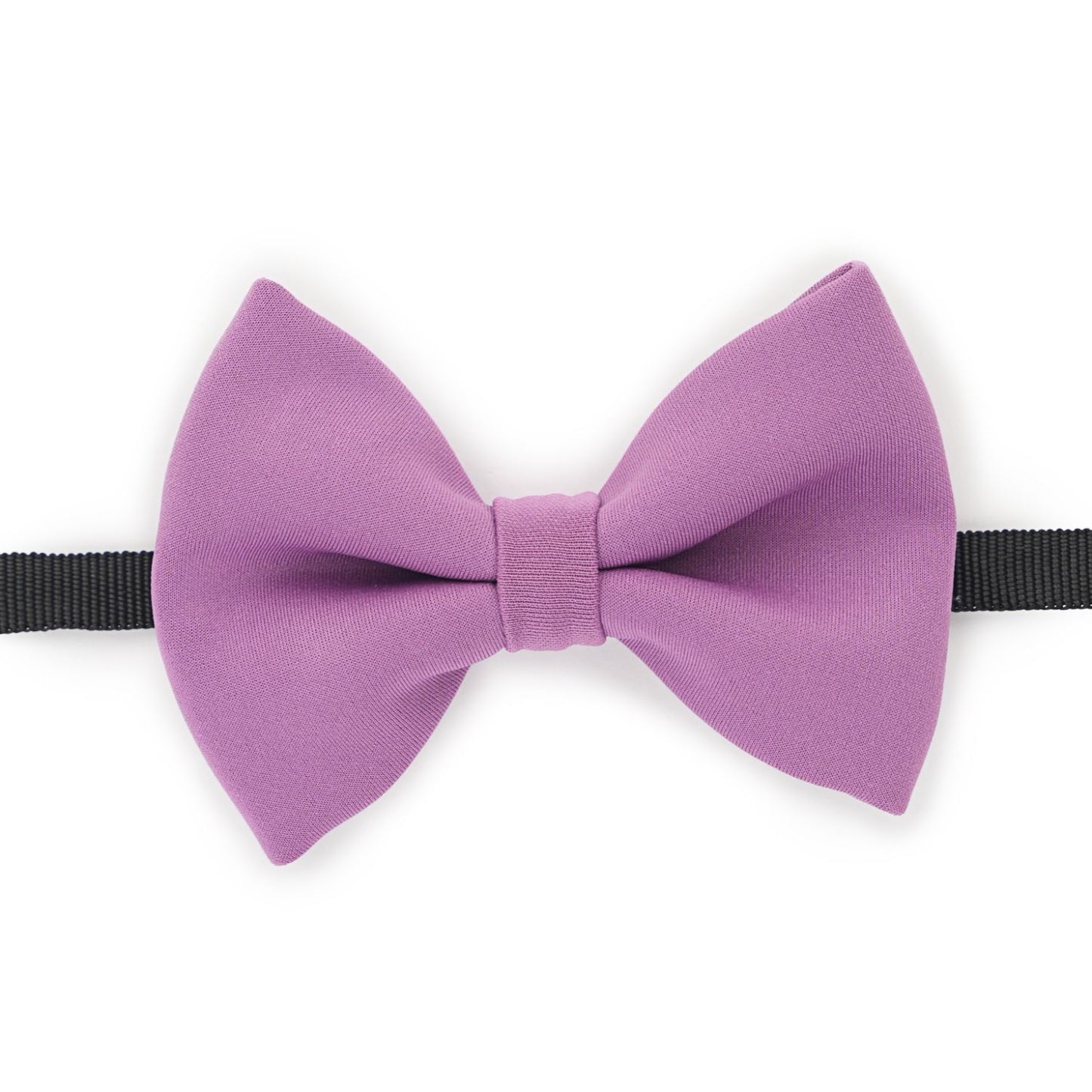 Purple Scuba Bow